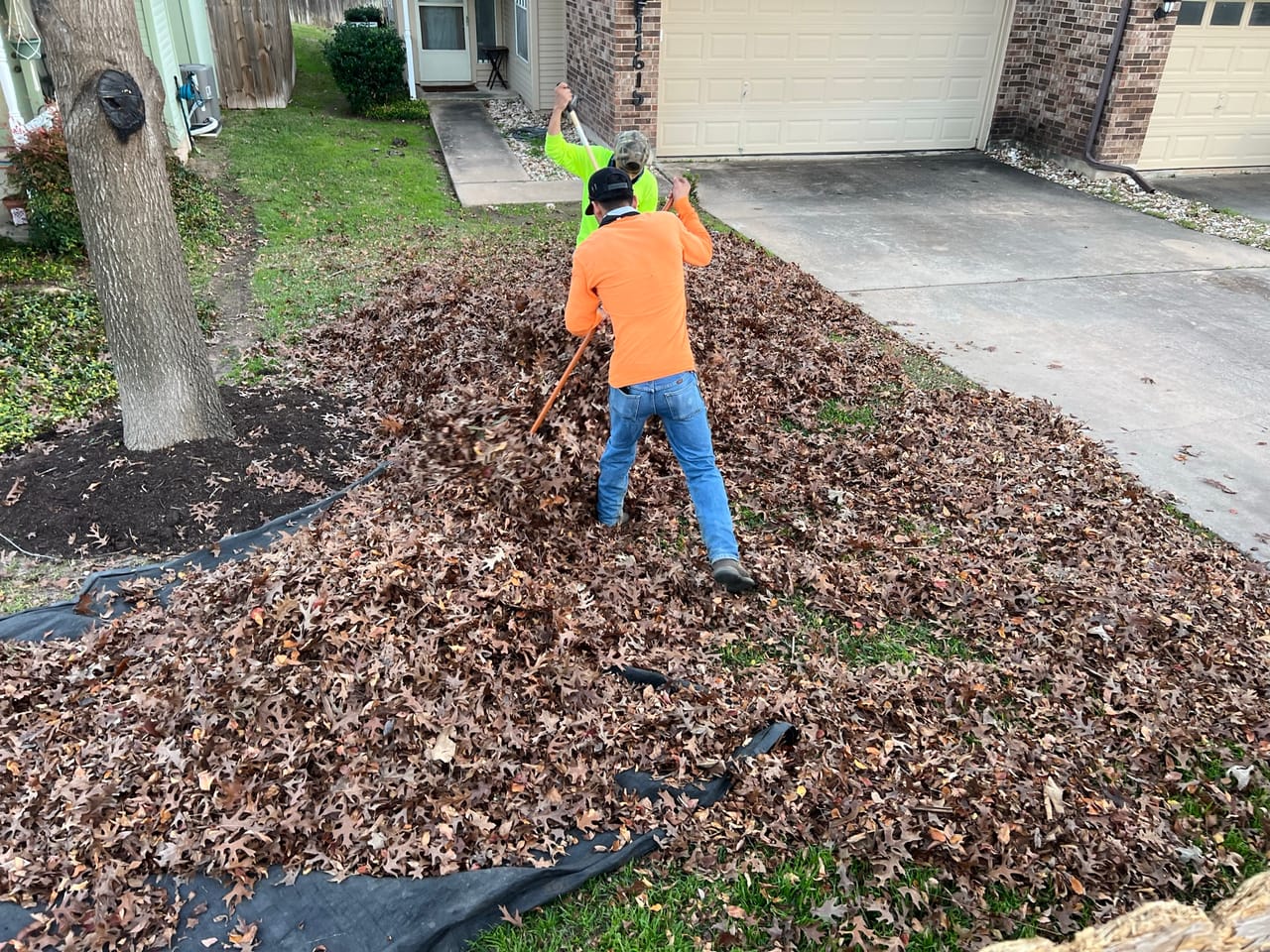 Worker raking a tall leaf pile toward a driveway in Pflugerville, TX