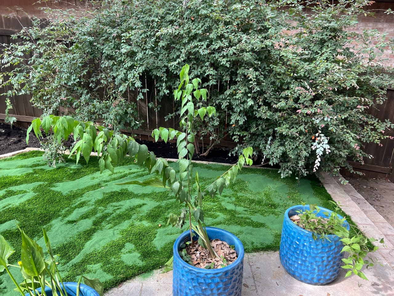 Finished artificial turf backyard with blue planters and shrub border in Buda, TX