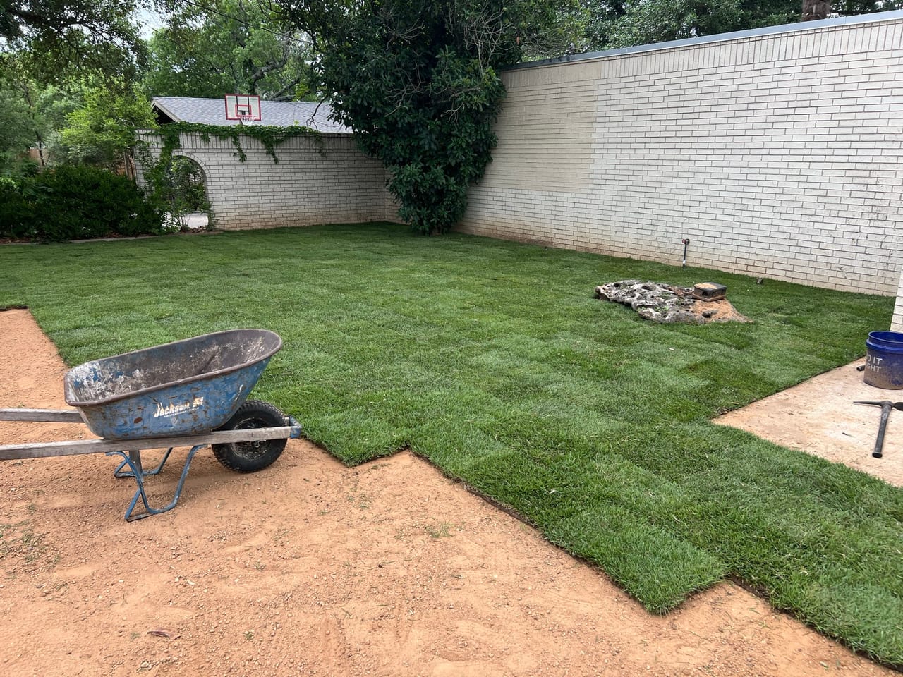Finished green sod lawn in a walled courtyard with wheelbarrow in Lockhart, TX