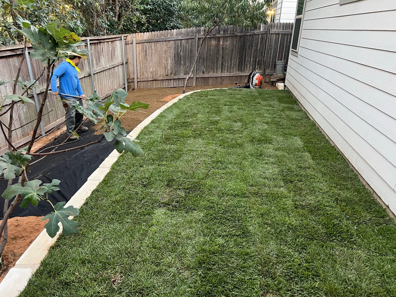 Fresh sod strip laid along a stone edged bed beside a house in Hutto, TX