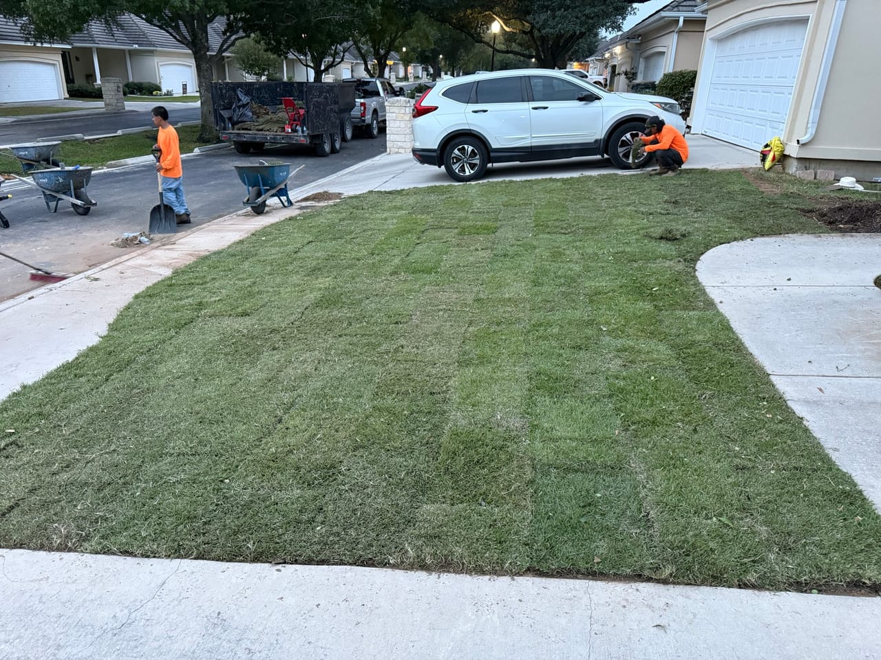 Freshly laid green sod covering a front lawn beside clean concrete walk in Georgetown, TX