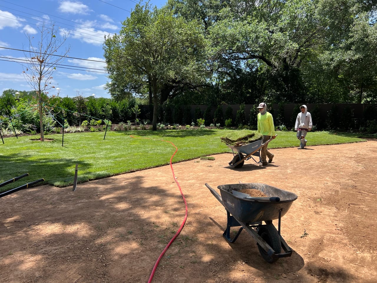New sod being laid across a yard with wheelbarrows and two workers by Corral Bros in Central Texas