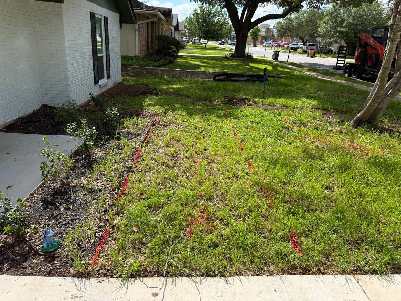 Patchy new grass filling in a front yard beside a white house by Corral Bros in Central Texas