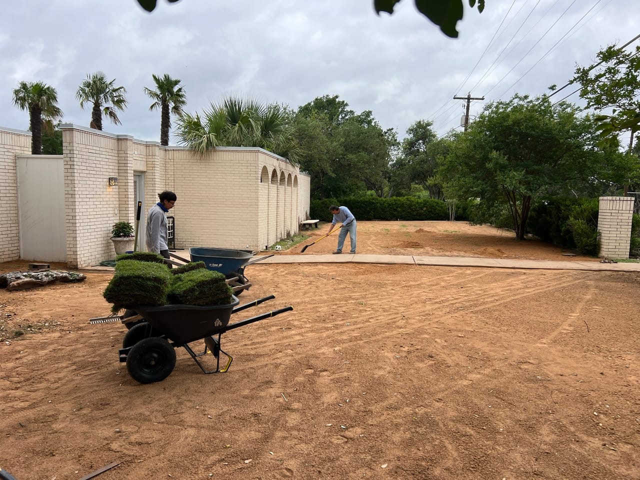 Two loaded sod wheelbarrows on dirt yard by white arched wall by Corral Bros in Central Texas