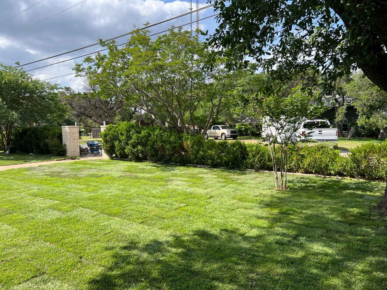 Wide finished sod lawn with mature trees and clean edges by Corral Bros in Central Texas