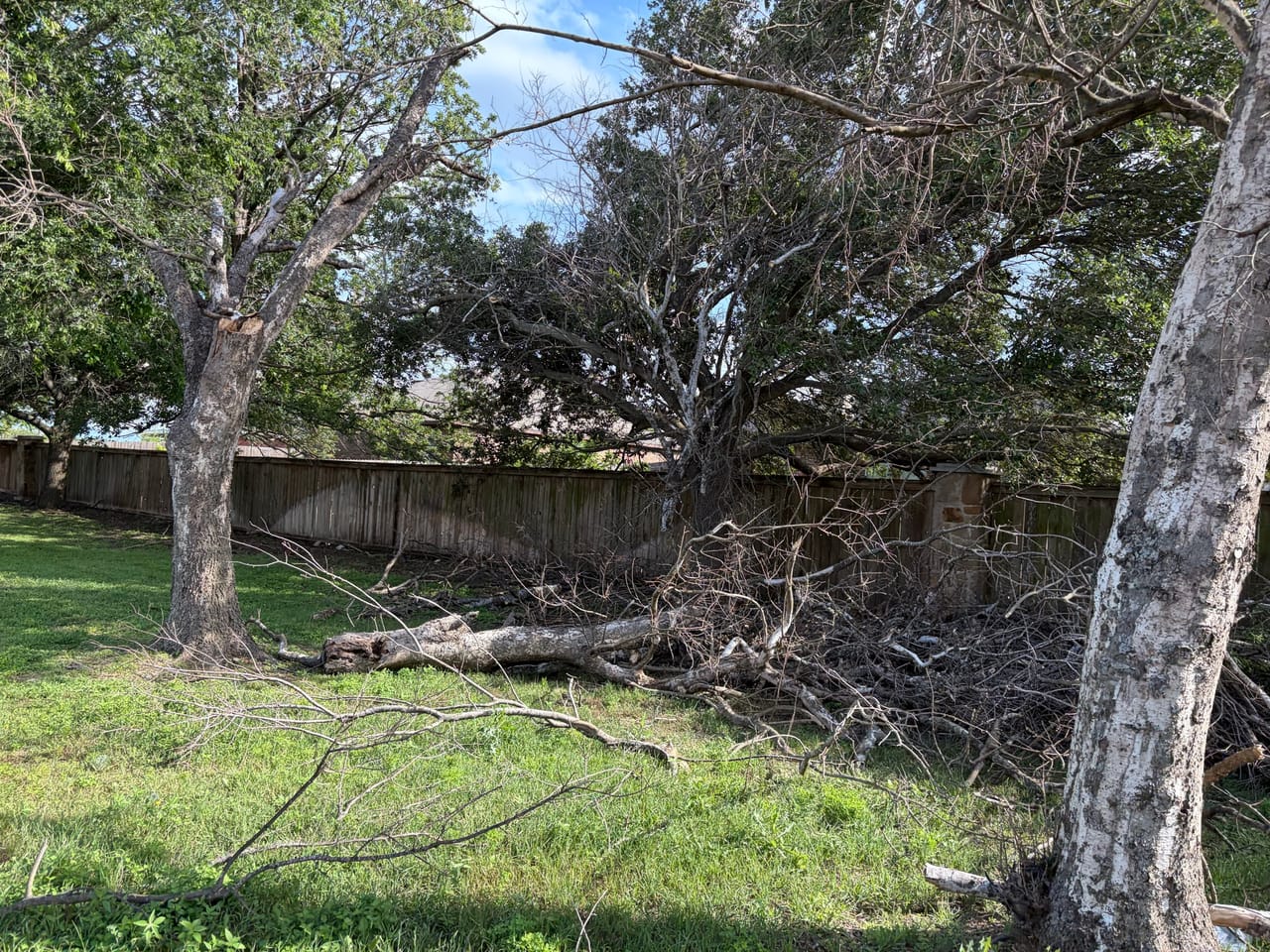Big fallen limb resting on a wood fence line in a yard in Elgin, TX