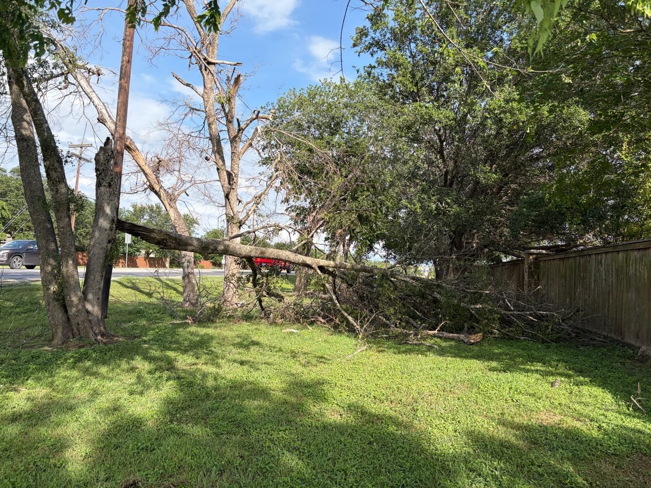 Large tree limb fallen across a green lawn near a fence in Leander, TX