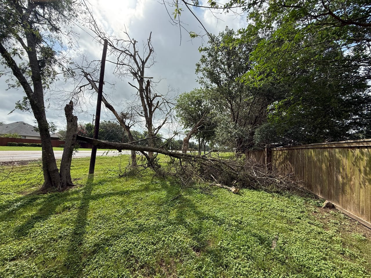 Large tree trunk snapped and lying across a green lawn by a fence in Maxwell, TX
