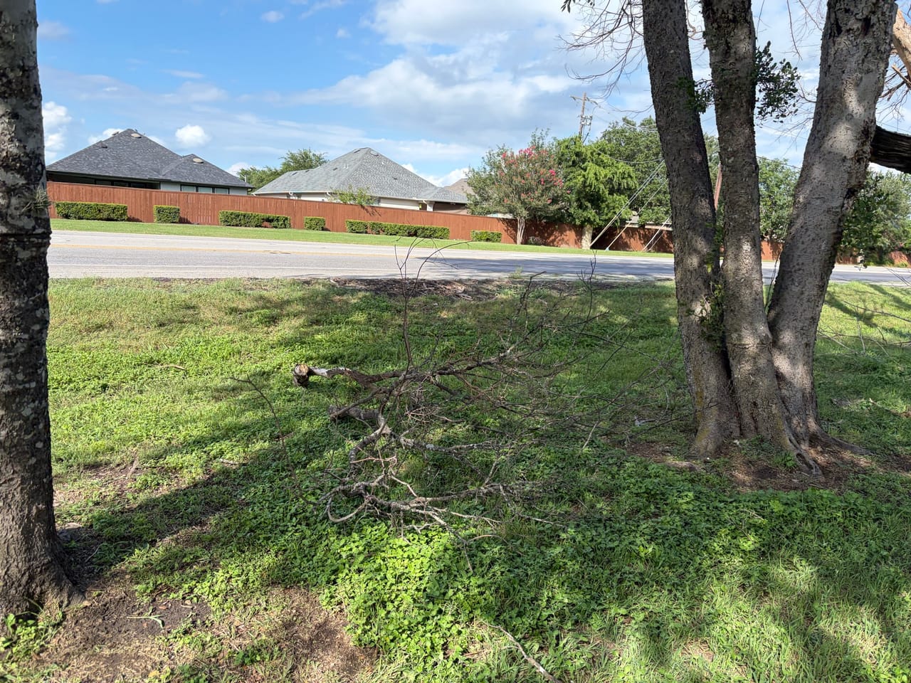 Yard under oaks littered with broken branches after a storm in Round Rock, TX