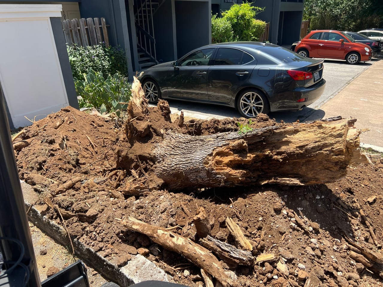 Excavated stump and root wood piled up with loose dirt in Cibolo, TX