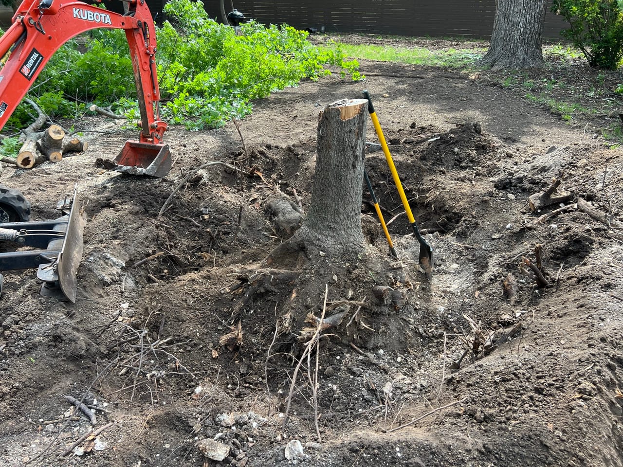 Excavator bucket digging out a large stump surrounded by dirt in Bastrop, TX
