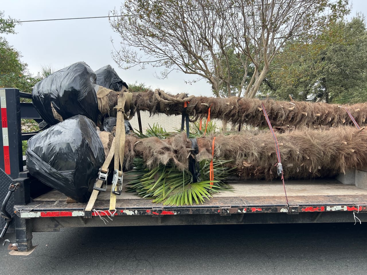 Flatbed trailer loaded with wrapped palms and burlapped boulders in Cibolo, TX