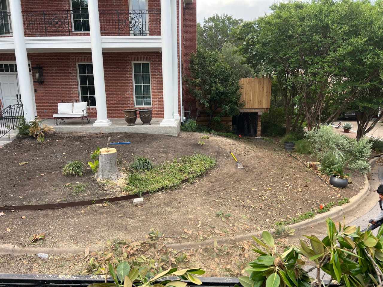 Brick house front bed cleared with fresh cut stumps remaining in Austin, TX