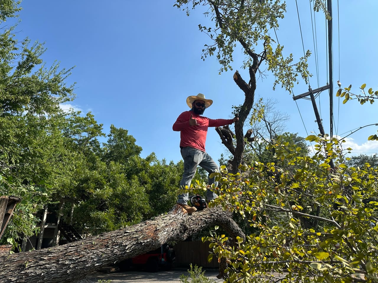 Climber in red standing on a large felled tree trunk with saw in Universal City, TX