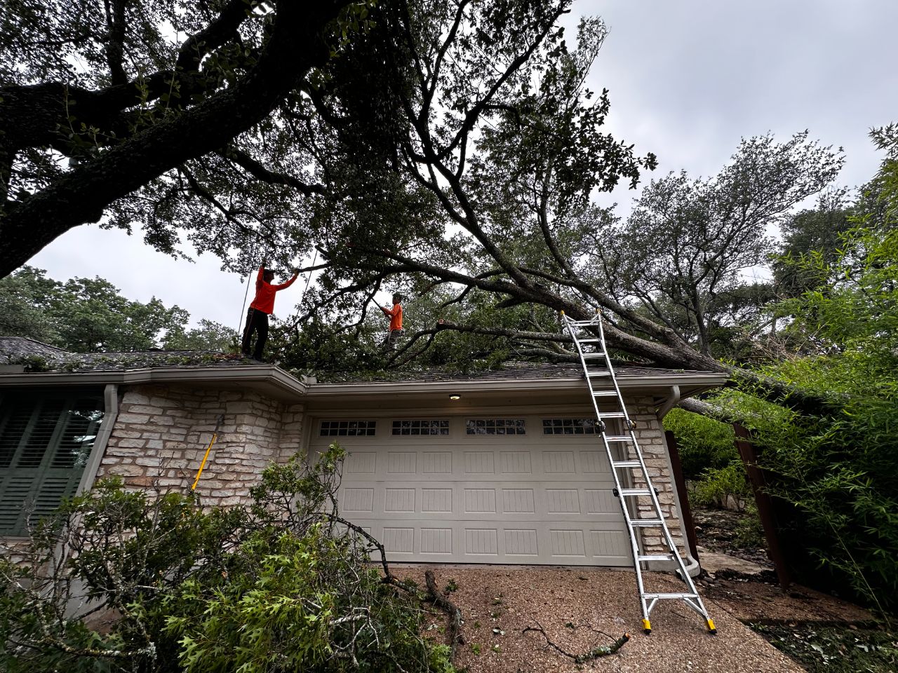 Tree Removal Cost in Texas: What Homeowners Actually Pay