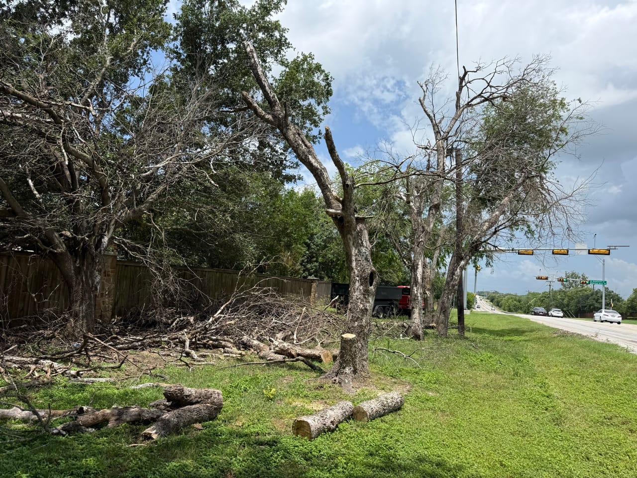 Cut logs stacked on the grass beneath heavily damaged roadside trees in Kyle, TX