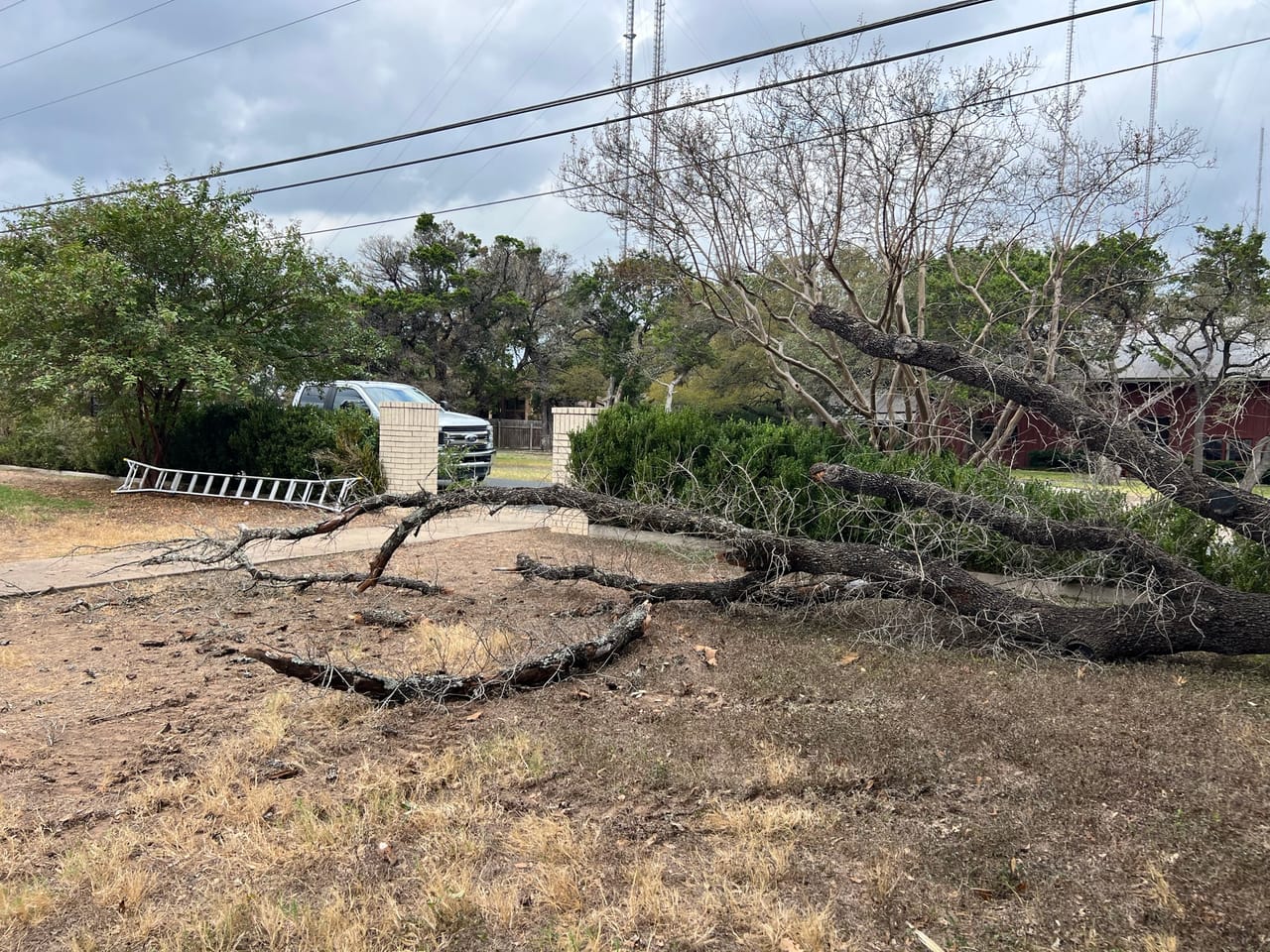 Felled tree limbs and a ladder spread across a cleared yard in Elgin, TX