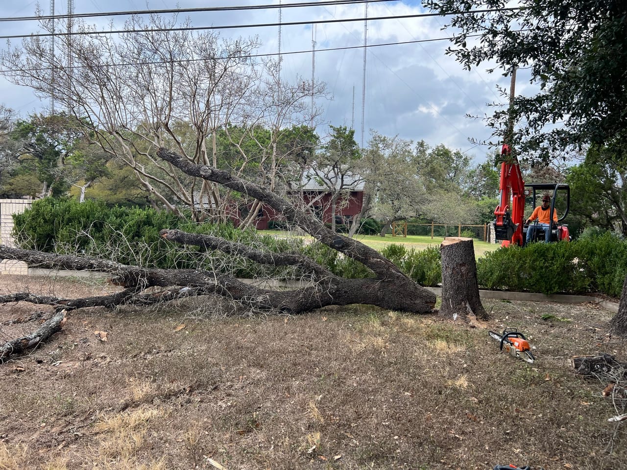 Large felled tree trunk and limbs on the ground with crew behind in Maxwell, TX