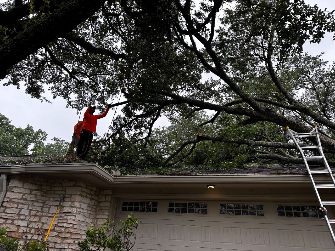 Corral Bros tree service crew removing a fallen oak from a home in Central Texas