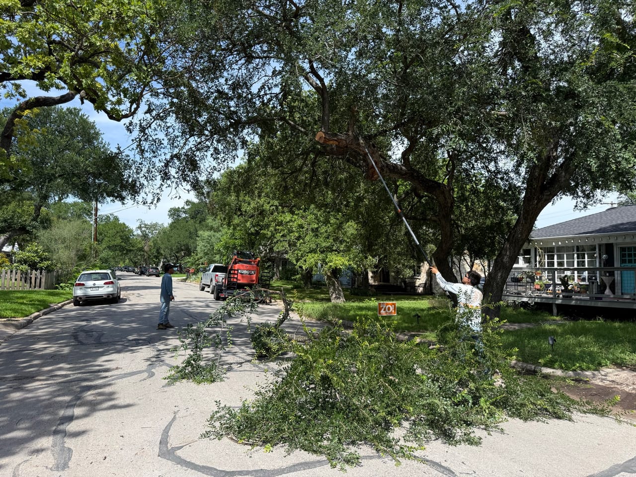 Cut oak limbs piled on a street after trimming, bucket truck nearby in Central Texas
